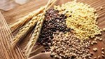 Nhập khẩu lúa mì 7 tháng đầu năm 2025 sụt giảm