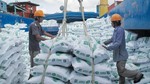 Thúc đẩy xuất khẩu, ổn định thị trường gạo