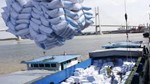 Xuất khẩu gạo 8 tháng năm 2025 đạt trên 3,26 tỷ USD