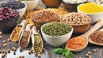 FAO: Dự báo sản lượng ngũ cốc toàn cầu năm 2025 đạt 2.971 triệu tấn 