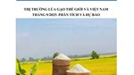THỊ TRƯỜNG LÚA GẠO THẾ GIỚI VÀ VIỆT NAM THÁNG 9/2025: PHÂN TÍCH VÀ DỰ BÁO