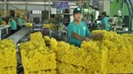 Xuất khẩu cao su sang các thị trường 10 tháng năm 2025