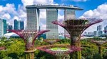 Việt Nam vươn lên Top 10 đối tác thương mại của Singapore