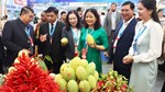Vietnam Expo 2026: Rộng cửa cho hàng Việt vươn ra thế giới