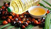 Thị trường ASEAN chiếm ưu thế trong nhập khẩu dầu thực vật của Việt Nam