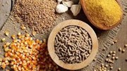 Trung Quốc và Đông Nam Á thúc đẩy làn sóng tăng trưởng xuất khẩu thức ăn chăn nuôi của Việt Nam