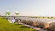 Nhật Bản thành lập cơ quan bảo vệ giống cây trồng