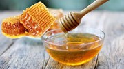 EU, Hoa Kỳ, Hàn Quốc đồng loạt cập nhật quy định SPS