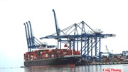 Tăng tỷ lệ tận dụng C/O CPTPP: Khuyến nghị từ chuyên gia