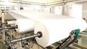Kim ngạch xuất khẩu giấy tăng trưởng khá trong nửa đầu năm 2026