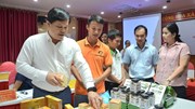 Quảng Ngãi công nhận 14 sản phẩm công nghiệp nông thôn tiêu biểu cấp tỉnh năm 2026