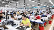 EVFTA và hàng Việt tại Bắc Âu: Hiệu quả thương mại trước sức ép tiêu chuẩn mới