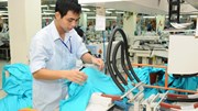EVFTA thúc đẩy thương mại Việt Nam - Bắc Âu tăng trưởng tích cực