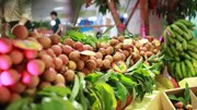 Kim ngạch xuất khẩu rau quả sẽ còn nhiều cơ hội tăng trưởng trong những tháng cuối năm
