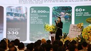 Liên kết chuỗi, chìa khóa để cà phê Việt đáp ứng EUDR