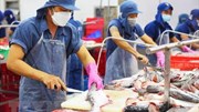 Sau giày dép, đến lượt ngành thủy sản kiến nghị gỡ khó cấp C/O