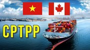 Xuất khẩu hàng hóa Việt Nam sang Canada 7 tháng đầu năm 2026: Động lực tăng trưởng và Triển vọng