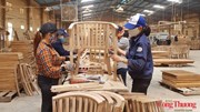 Nông, lâm nghiệp xuất khẩu lớn, nhưng chưa làm chủ được ‘cuộc chơi’