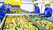Xuất nhập khẩu 2026: Đằng sau những con số tăng trưởng