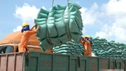 Đưa nông sản Việt tiến sâu vào UAE nhờ lợi thế CEPA