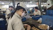 Từ Nghị quyết 10 đến yêu cầu kết nối hệ sinh thái công nghiệp