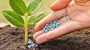 Cơ cấu thị trường xuất khẩu phân bón tiếp tục tập trung cao tại khu vực châu Á