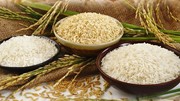 Thị trường lúa gạo thế giới và Việt Nam tháng 4/2025: Phân tích và dự báo 