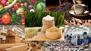 Xuất khẩu nông, lâm, thủy sản Việt Nam tăng 14,3% trong nửa đầu năm 2025