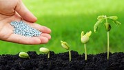 Thông tin thị trường phân bón 4 tháng đầu năm 2025 và dự báo