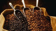 Tiến độ thu hoạch cà phê ở Brazil đang tăng dần nhờ điều kiện thời tiết được cải thiện. 