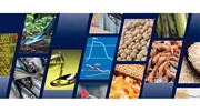 FAO: Sản lượng các loại cây lương thực chủ chốt toàn cầu trên đà lập kỷ lục mới