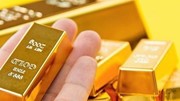 Các nhà đầu tư đổ xô vào các quỹ ETF vàng khi giá kim loại này phá vỡ kỷ lục