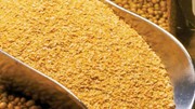 Ngược dòng nhóm nông sản, vì sao giá khô đậu tương duy trì ở vùng giá cao nhất trong gần 1 thập kỷ? 