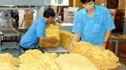 VRG lãi lớn trong quý I