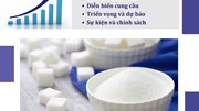 THỊ TRƯỜNG ĐƯỜNG THẾ GIỚI VÀ VIỆT NAM  5 THÁNG ĐẦU NĂM 2025: PHÂN TÍCH VÀ DỰ BÁO