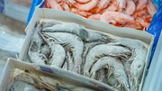 Giá tôm tại Mỹ tăng vọt do thuế quan áp lên Ấn Độ