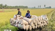 Xuất khẩu nông sản: Khẳng định thương hiệu, hướng đến những kỷ lục mới