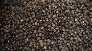 Thị trường nông sản: Lý do giá cà phê trên thế giới tăng vọt