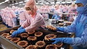 Dự báo kim ngạch xuất khẩu thuỷ sản năm 2025 đạt trên 11 tỷ USD