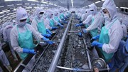 Xuất khẩu thuỷ sản của Việt Nam tăng trưởng tích cực trong 4 tháng đầu năm 2026