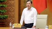 Tổ chức Năm APEC 2027 đúng tầm, chất lượng và tối đa hóa cơ hội phát triển