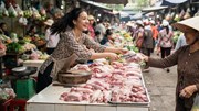 Giá heo hơi hôm nay 29.6: Thị trường đi ngang, miền Nam vẫn thấp