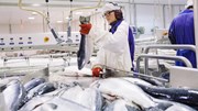 Hoàn tất đàm phán FTA Việt Nam - EFTA, hải sản Na Uy hưởng lợi từ ưu đãi thuế