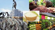 Vượt thách thức bằng tư duy kinh tế để đạt 100 tỷ USD xuất khẩu nông sản