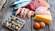 Quy định mới về các biện pháp an toàn thực phẩm và kiểm dịch động thực vật (SPS) của các thị trường xuất khẩu