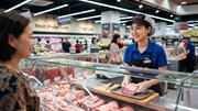 Giá heo hơi hôm nay 13/8: Mức cao nhất còn 59.000 đồng/kg