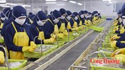 Xuất khẩu sang EU: Bao bì trở thành bài toán mới