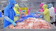 Gỡ rào cản vốn, quỹ đất, thị trường..., đưa xuất khẩu thủy sản cán đích
