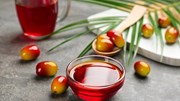 Sản lượng sụt giảm cùng tiêu thụ nội địa tăng kỷ lục sẽ thắt chặt nguồn cung dầu cọ Indonesia