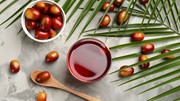 Thị trường dầu thực vật và đường thế giới ngày 09/6: Giá dầu cọ hồi phục trở lại